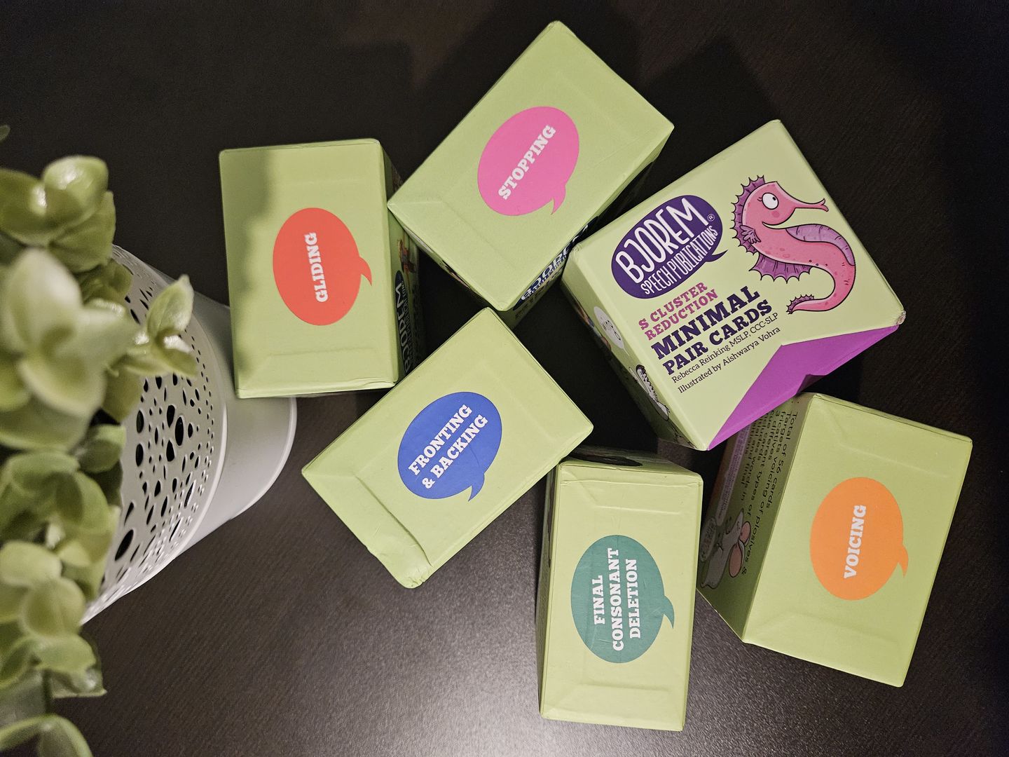 Customer photo review of Minimal Pairs Bundle - 6 Box Set