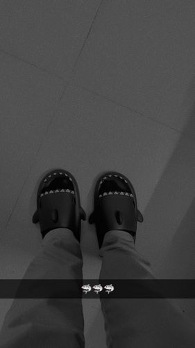 Customer photo review of The Original Shark Slides