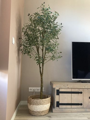 Customer photo review of Kunst Olijfboom 180cm