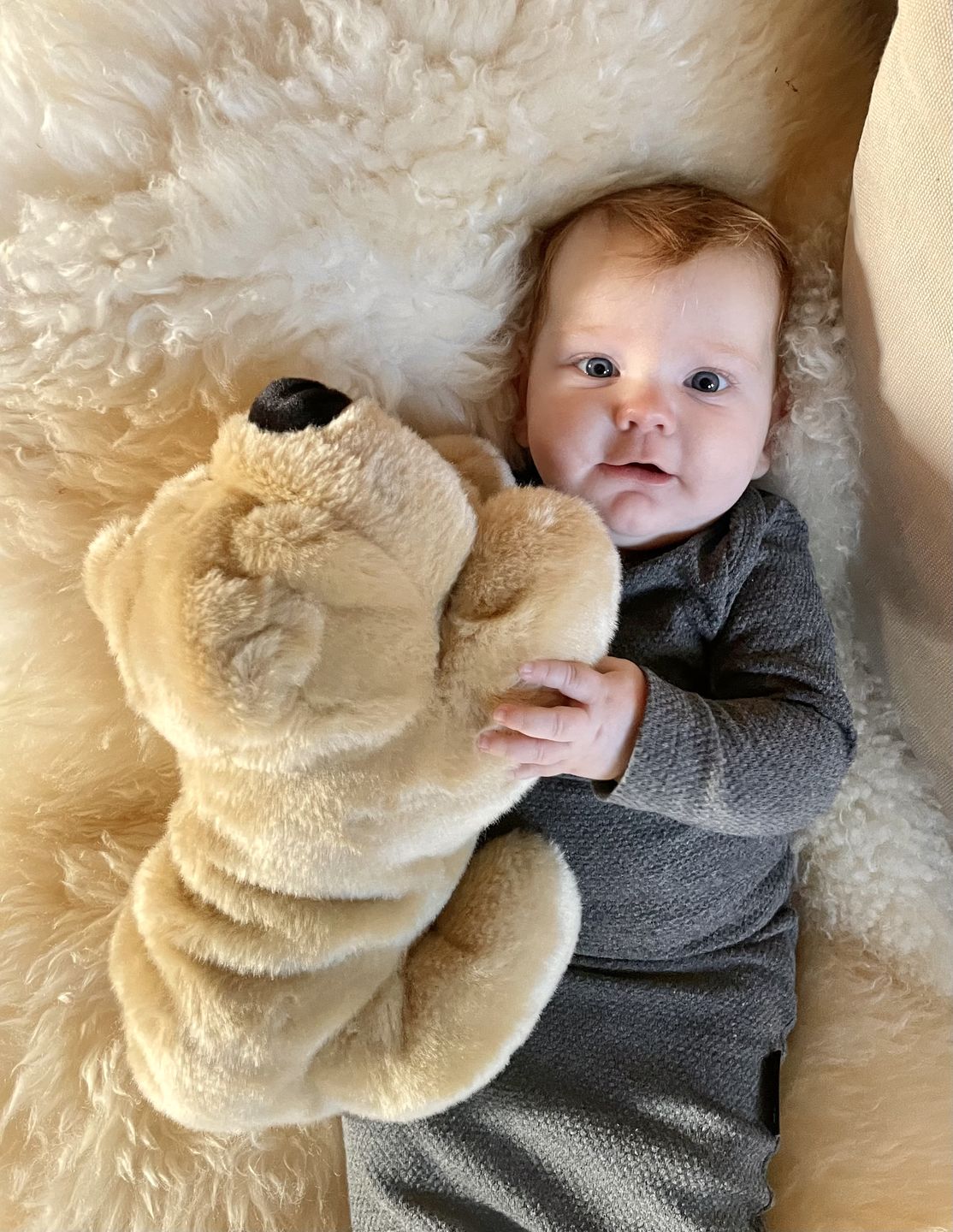 Customer photo review of Ma peluche Chien Hector