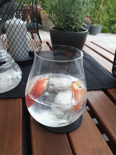 Customer photo review of Elephant London Dry Gin 500ml