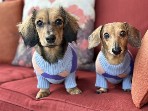 Customer photo review of Groovy sweater