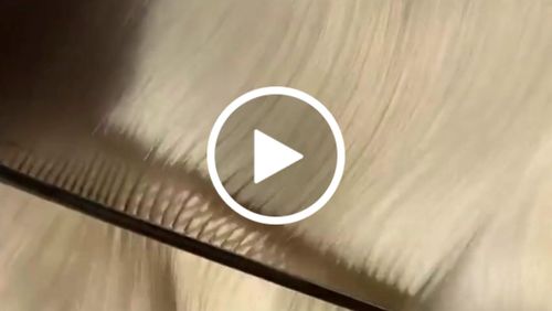 Customer video review of Oh Dog, It's a Miracle Mask