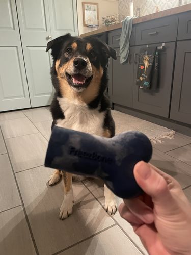 Customer photo review of Freezbone