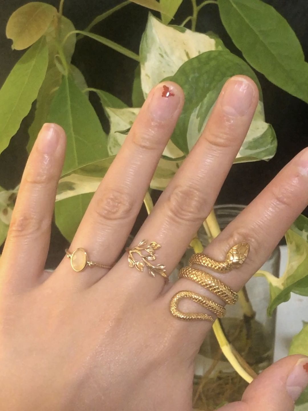 Customer photo review of SERPENT GOLD.