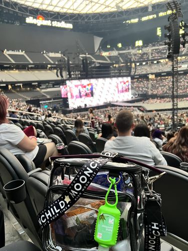 Customer photo review of Ultimate Moonchild Stadium Tour Bag