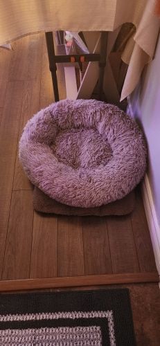 Customer photo review of Calming Dog Bed Australia | Anti Anxiety Dog Bed