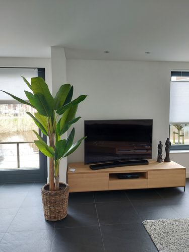 Customer photo review of Kunst Bananenplant Serie B 210cm