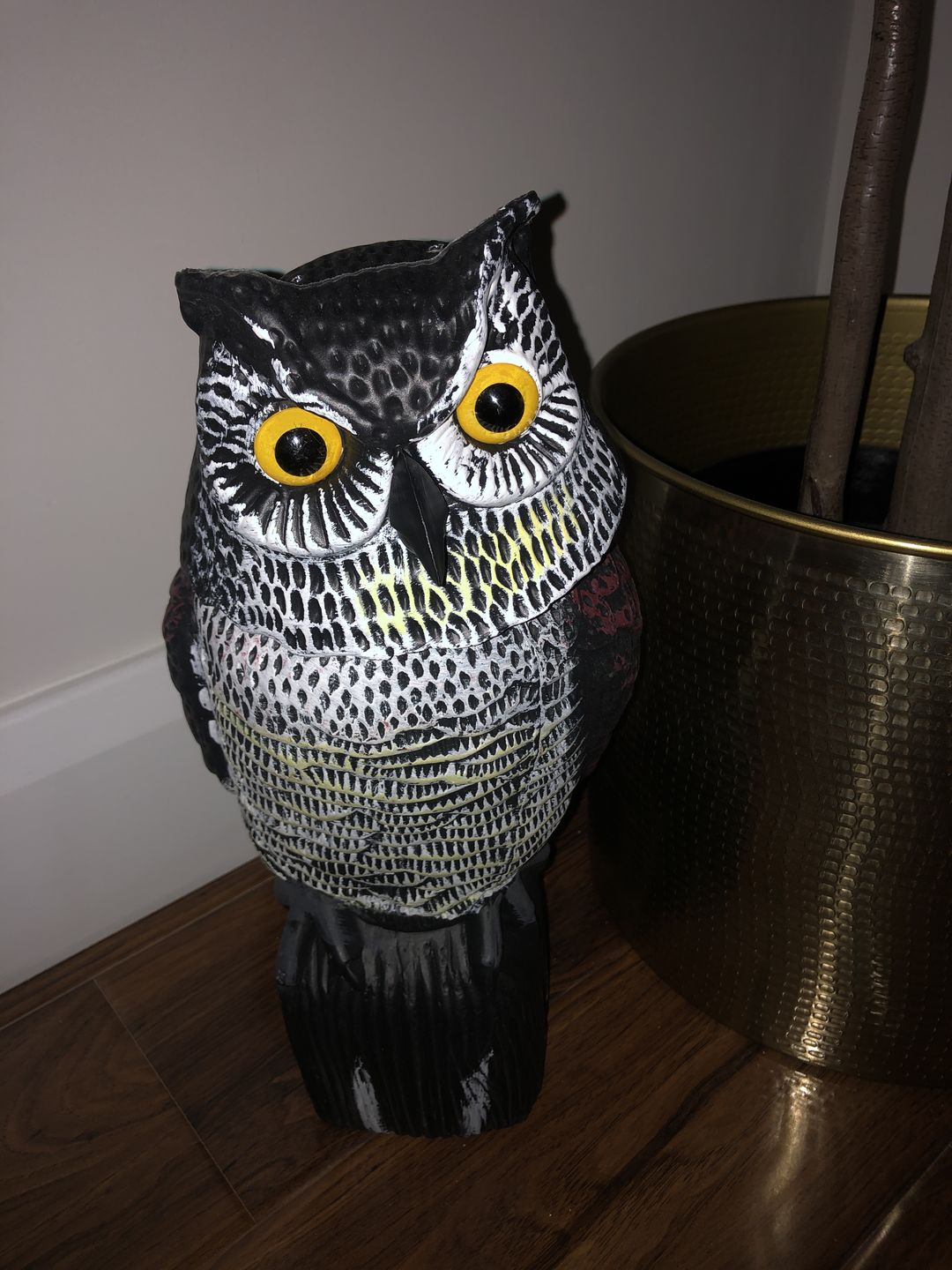 Customer photo review of Wildhunter Swivel Head Owl Decoy