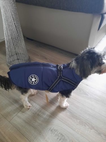 Customer photo review of Dog Coat - Winter Dog Jacket Australia