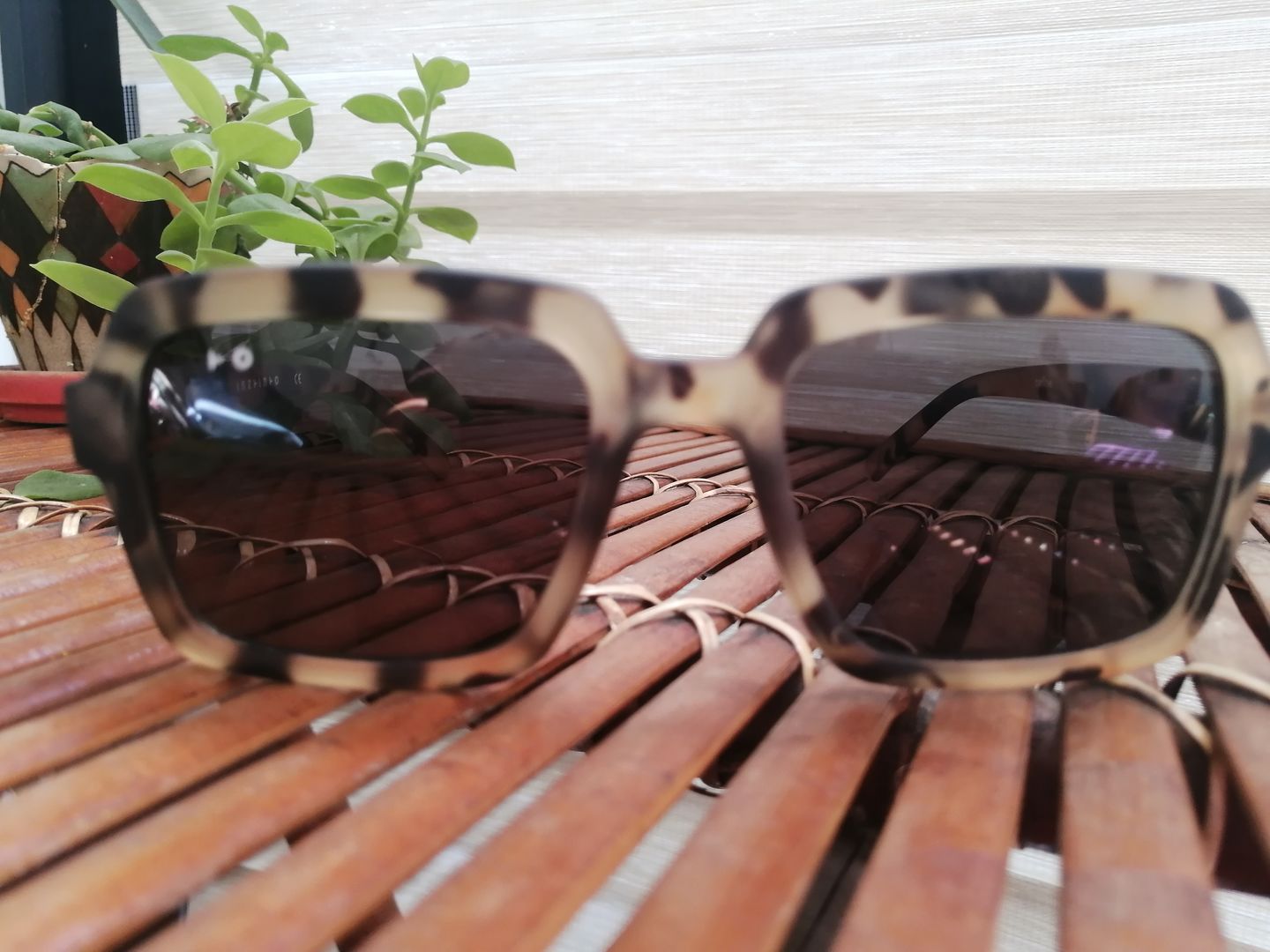 Customer photo review of Celine Cheetah