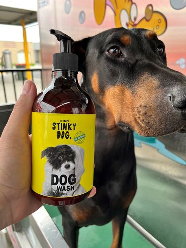 Customer photo review of Australia's Best Stinky Dog Shampoo