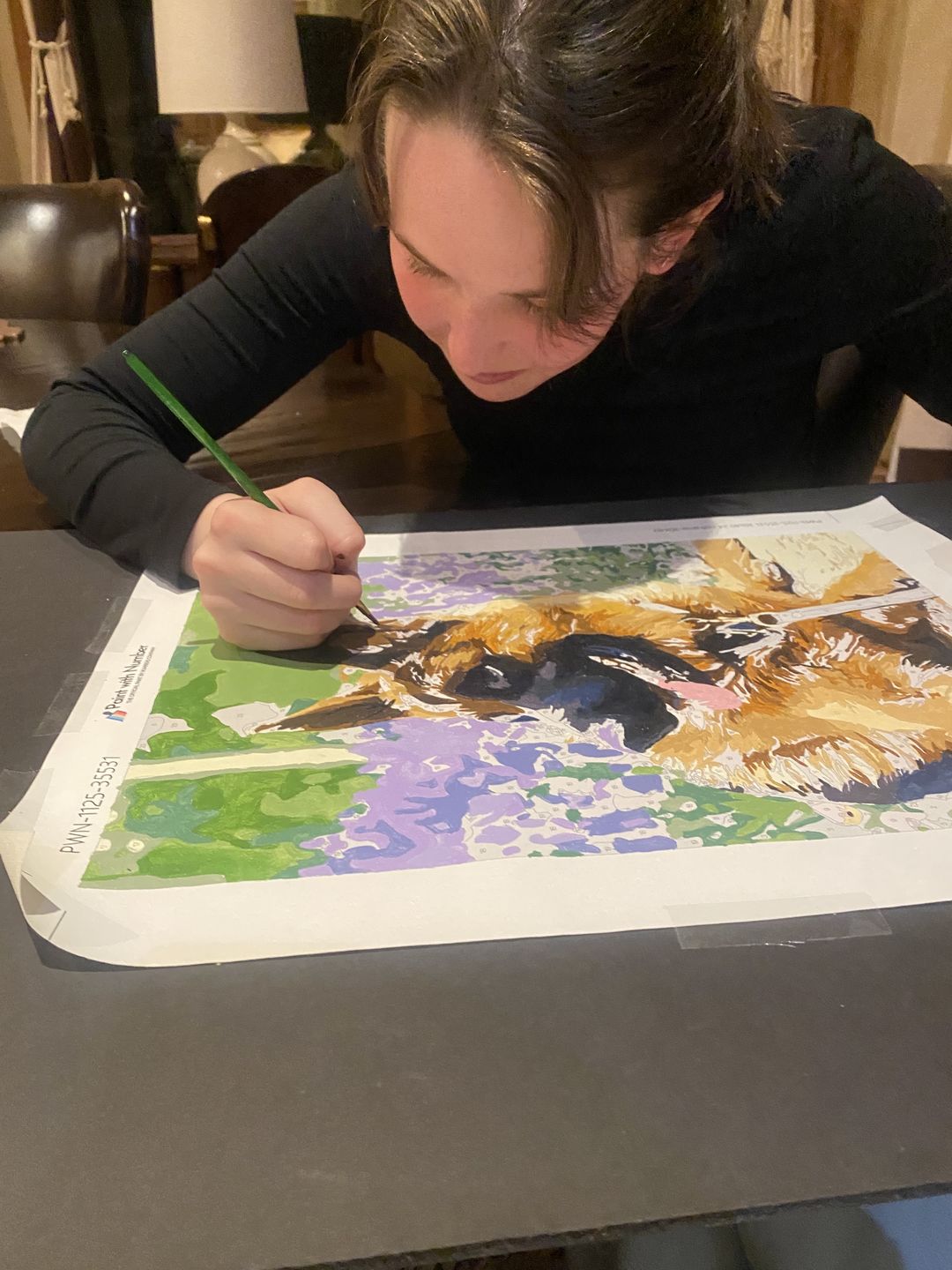 Customer photo review of Paint with Number™ Custom Kit