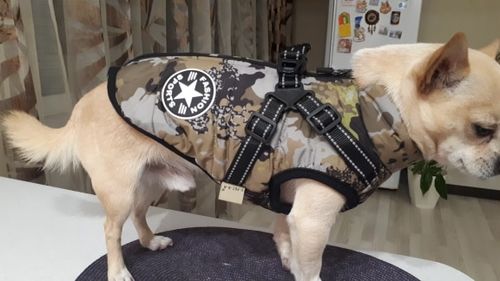 Customer photo review of Dog Coat - Winter Dog Jacket Australia