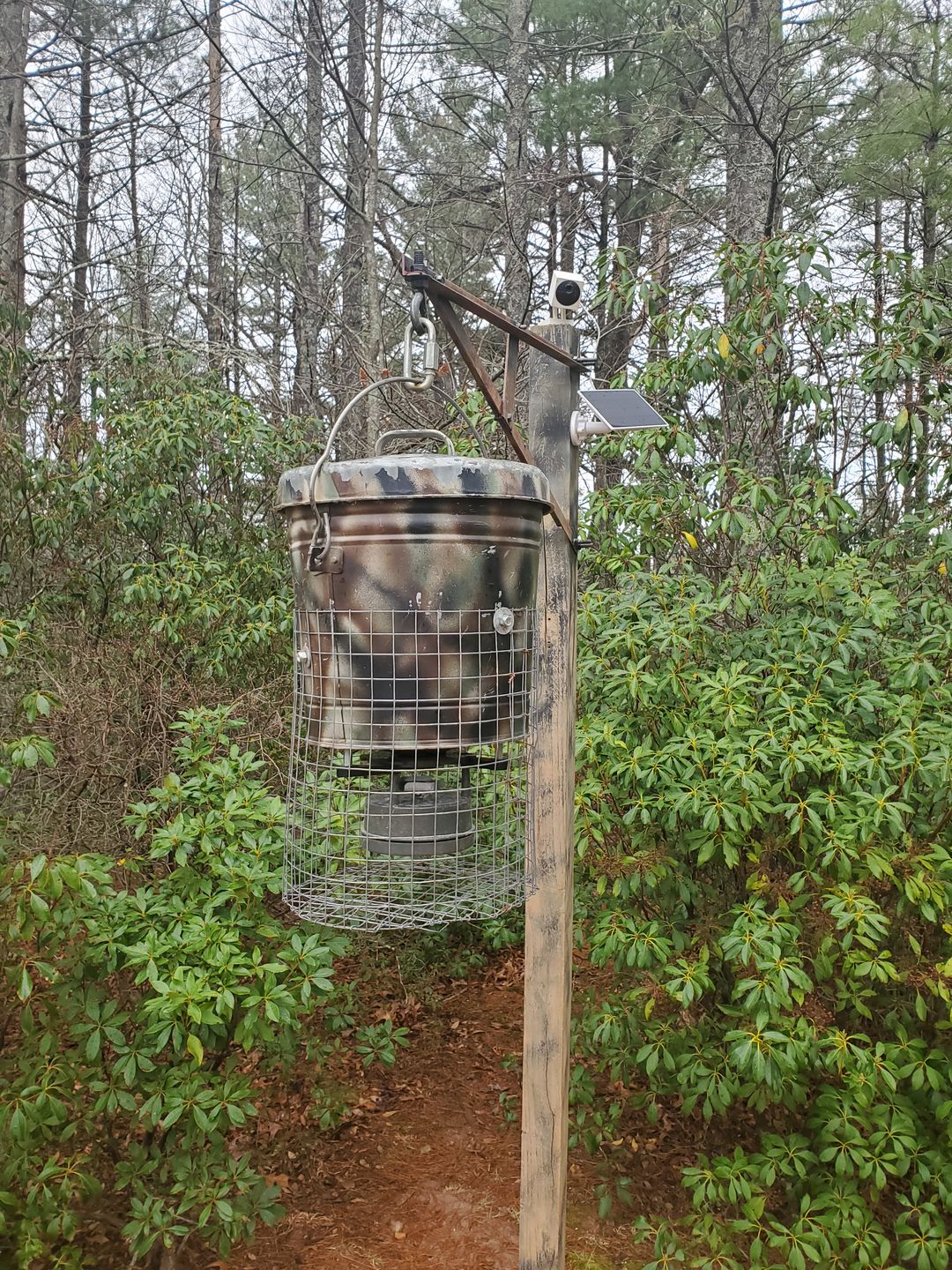 Customer photo review of Game Feeder Kit