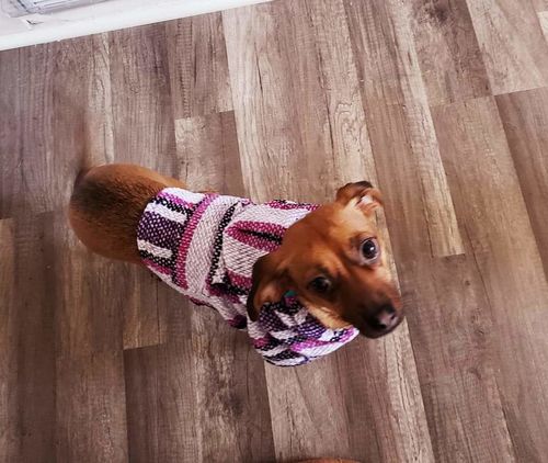 Customer photo review of Playa Poncho - Surprise Color