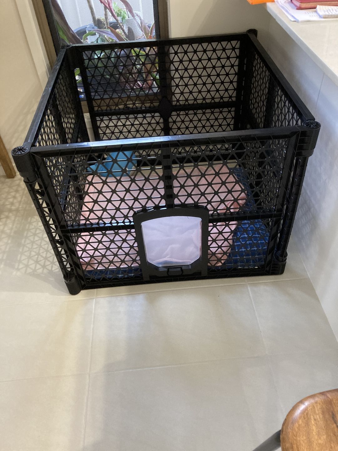 Customer photo review of PaWz Pet Foldable Portable Playpen Garden Outdoor