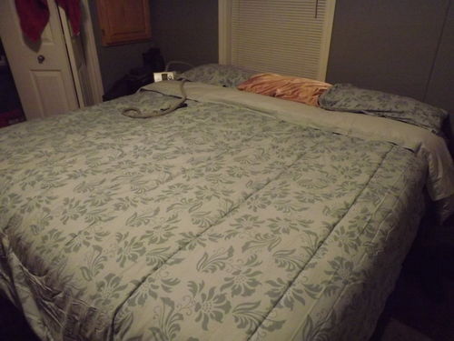 Customer photo review of Floral Dusty Blue 5-Piece Comforter Set (Queen / King Size)