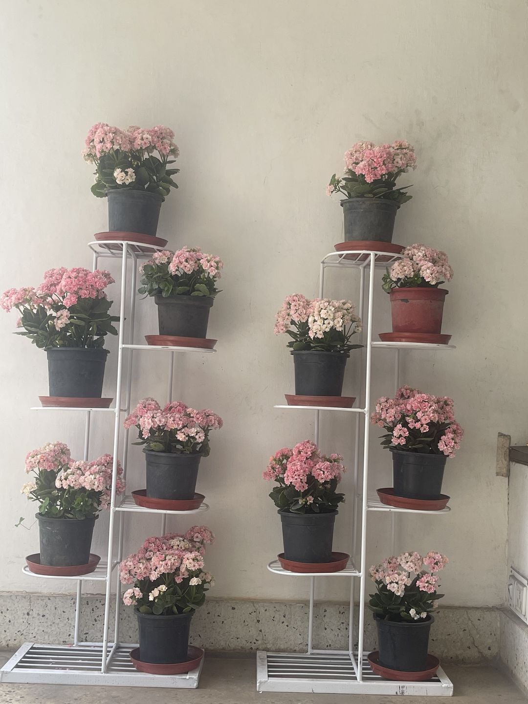 Customer photo review of Plant Stand Metal 6 Tier 7 Potted Multiple Flower Pot Holder Shelf Indoor Outdoor Planter Display Shelving Unit for Patio Garden Corner