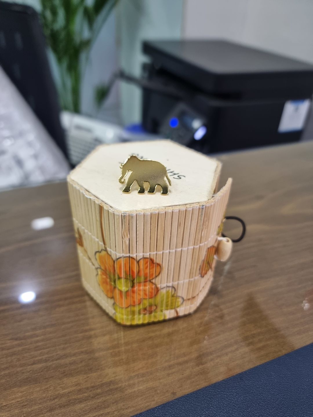 Customer photo review of Lapel Pin Elephant Goldplated