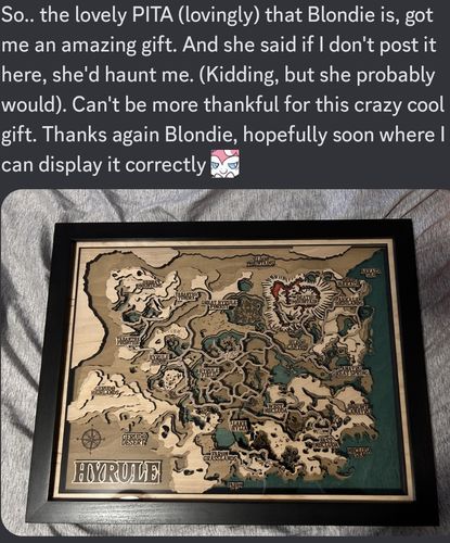 Customer photo review of THE HYRULE 3D MAP
