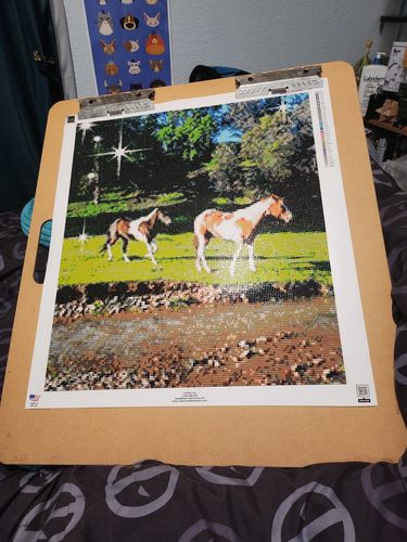 Customer photo review of Custom Diamond Painting Kits for Adults DIY 5D - Photo Diamond Art Shipped from USA