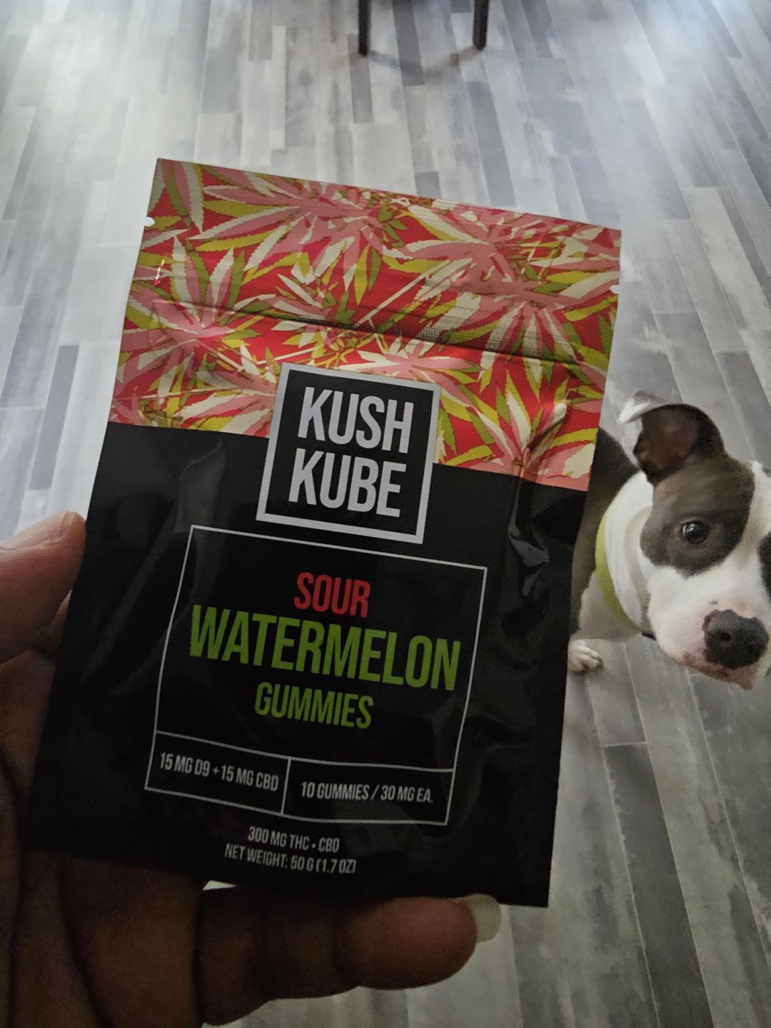 Customer photo review of Sour Watermelon - 10 Gummy Pack
