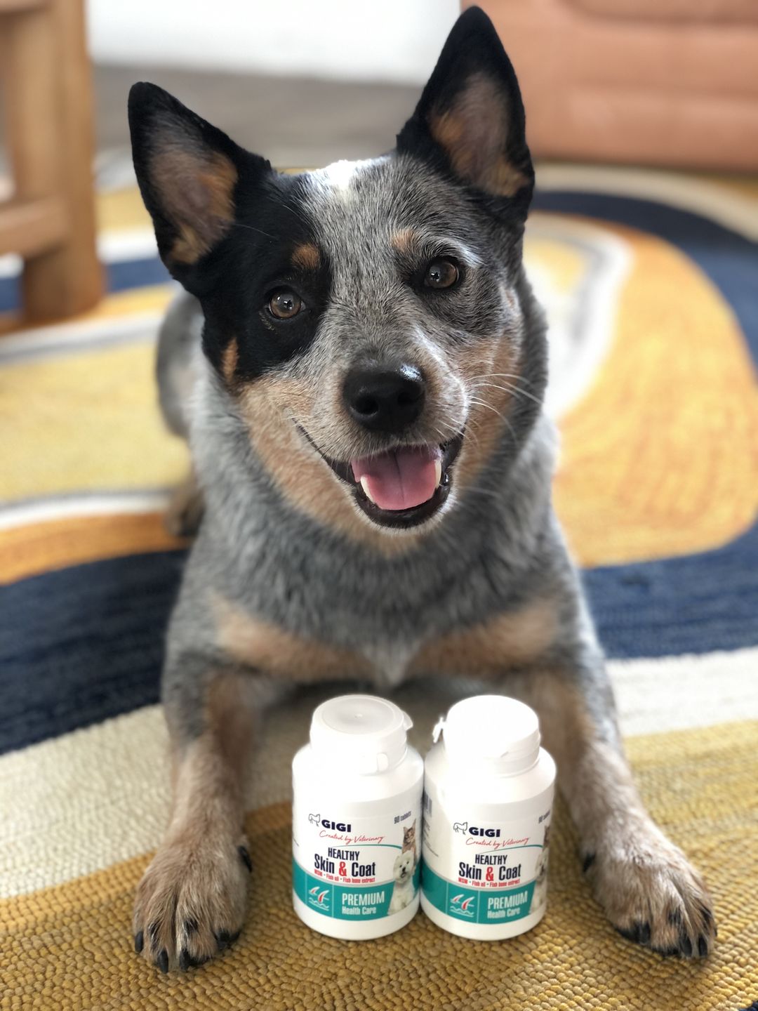 Customer photo review of Healthy Skin and Coat | Premium Pet Supplement
