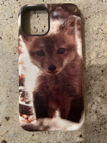 Customer photo review of Custom - iPhone 12