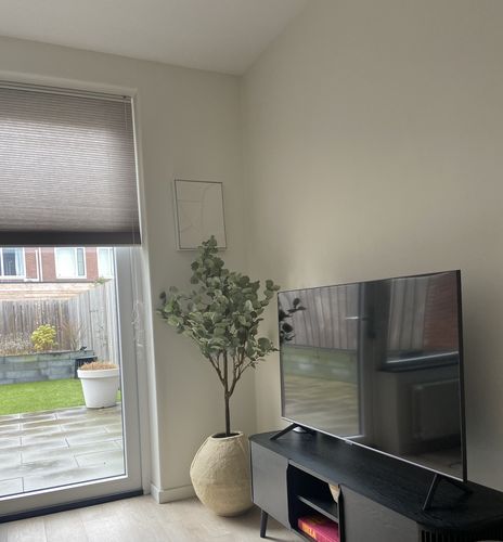 Customer photo review of Eucalyptus Kunstboom 160cm