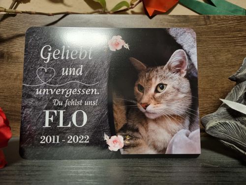 Customer photo review of Katzen Gedenktafel mit Foto & Spruch (UV- und wetterbeständig)