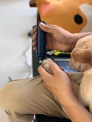 Customer photo review of Upgraded Dog Nail Grinder - 2-Speed, Rechargeable & Painless for All Pet Sizes