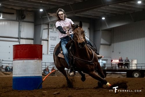 Customer photo review of OptiWize Collagen +Plus Horse Joint Supplement