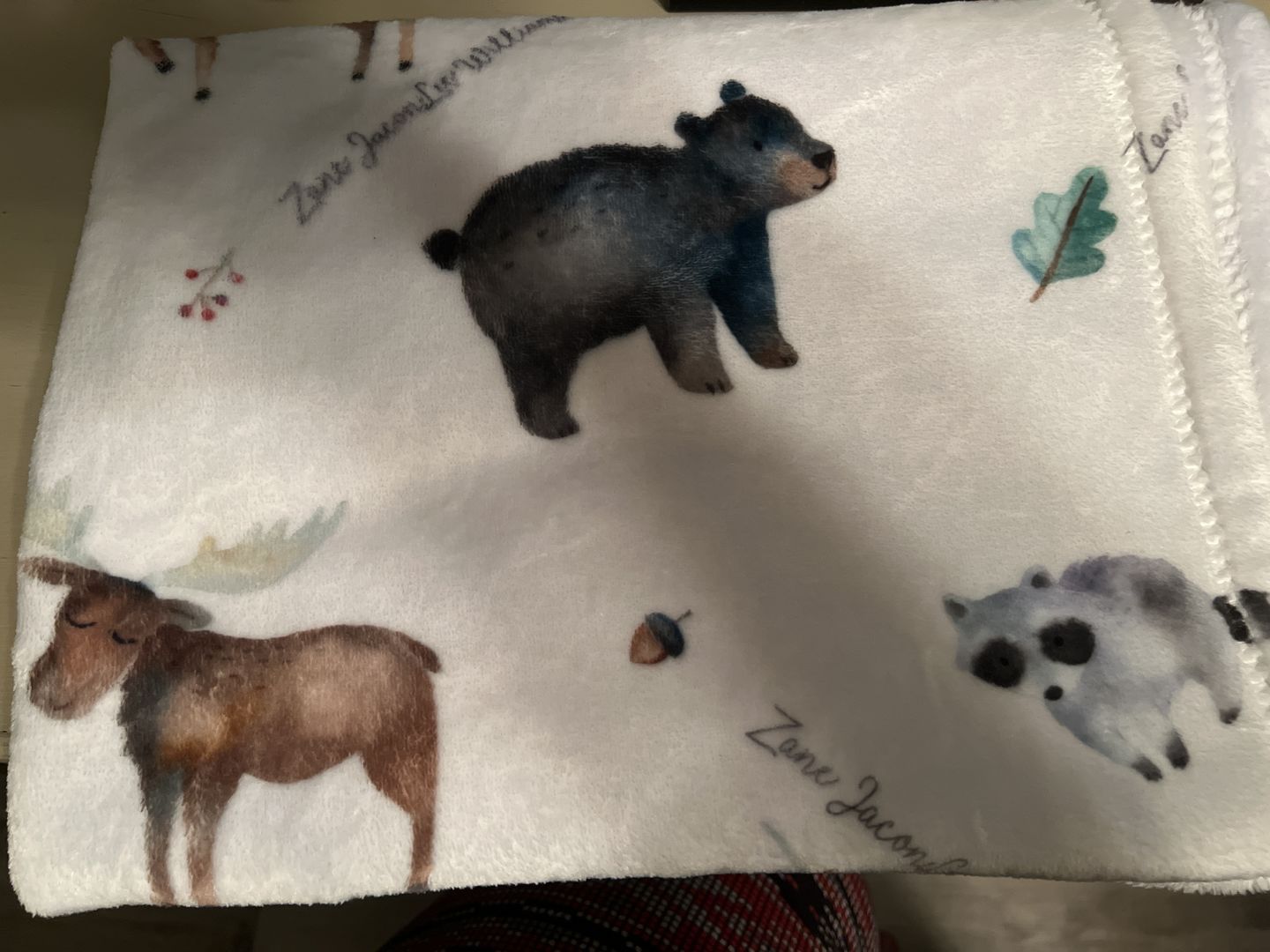 Customer photo review of Woodland Animals Personalized Baby Blanket
