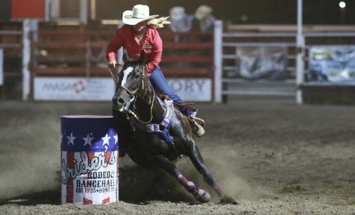 Customer photo review of OptiWize Collagen +Plus Horse Joint Supplement
