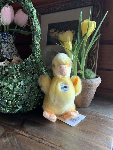 Customer photo review of Steiff Pilla Duckling EAN 073335