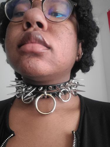 Customer photo review of Switch Collar