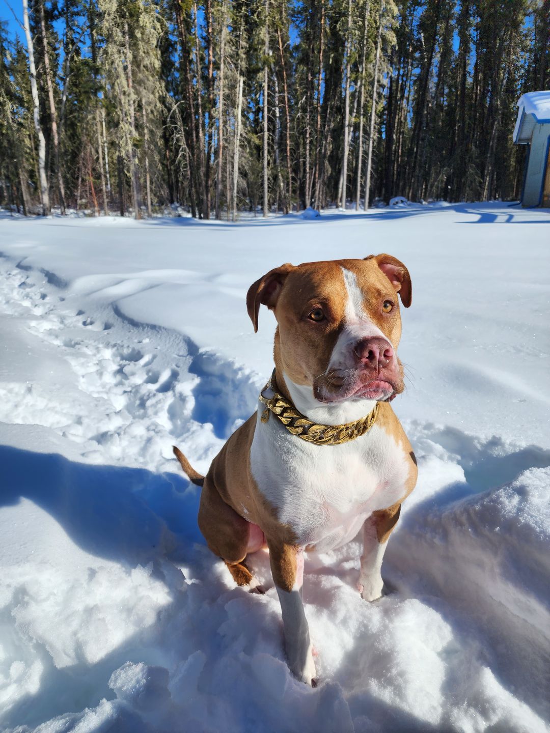 Customer photo review of THE KILO