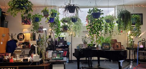 Customer photo review of Houseplant Insecticide w/ Neem