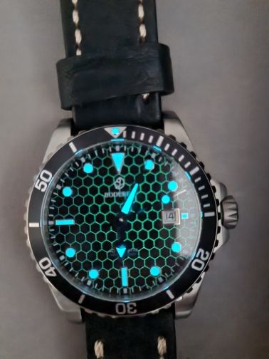 Customer photo review of SEATURTLE.OCEAN(TITANIUM) - Automatic Titanium Diver Watch | Black