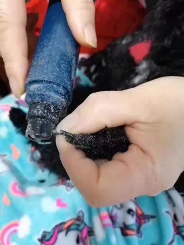 Customer photo review of Upgraded Dog Nail Grinder - 2-Speed, Rechargeable & Painless for All Pet Sizes