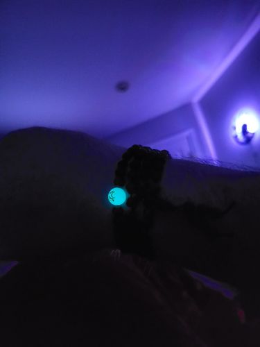 Customer photo review of Glow In The Dark Dragon And Tiger's Eye Meditation Beads