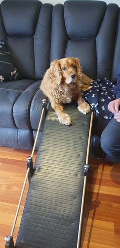 Customer photo review of SALMON & OCEAN FISH - SENSITIVE DOG BLEND 3KG (ADULT)