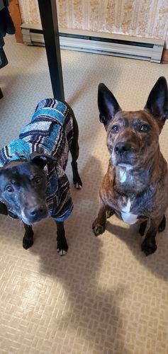 Customer photo review of Playa Poncho - Surprise Color