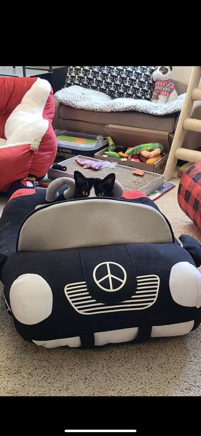 Customer photo review of Furcedes Sports Car Bed