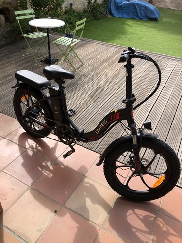 Customer photo review of Fafrees F20 250W 20" Folding Step-through Electric Bike 16AH 25km/h 130km