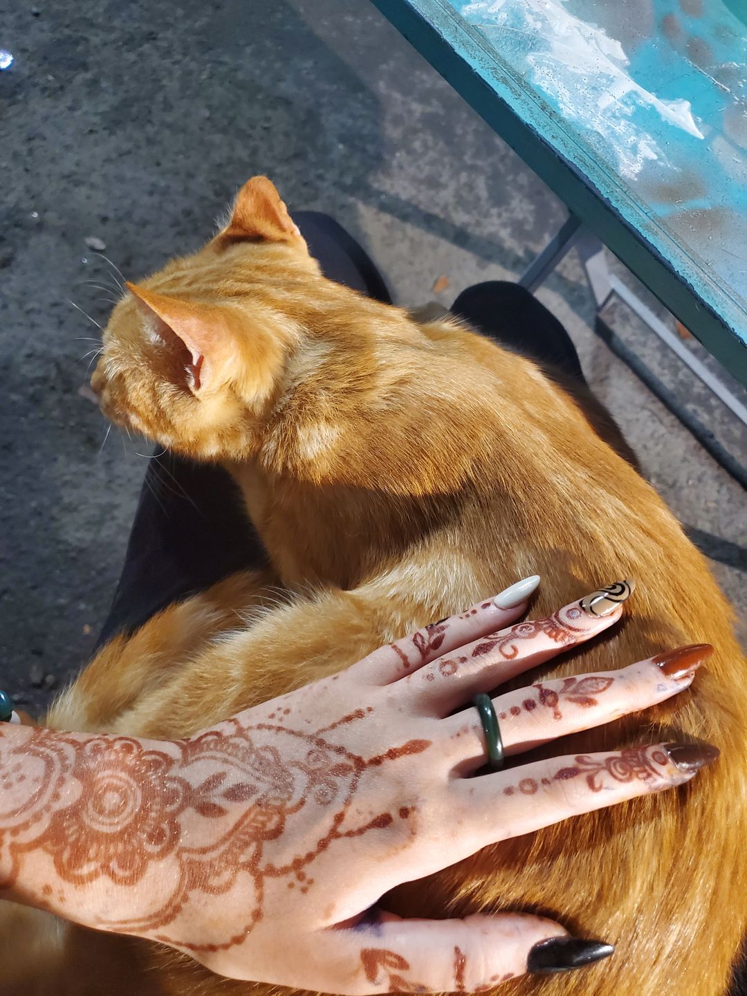Customer photo review of Organic BAQ Fresh Henna