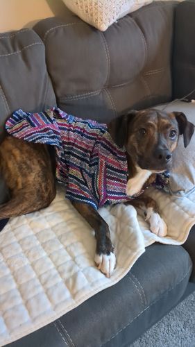 Customer photo review of Playa Poncho - Surprise Color