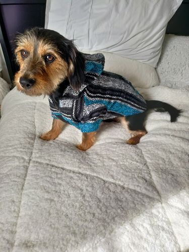 Customer photo review of Playa Poncho - Surprise Color