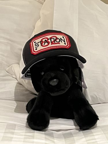 Customer photo review of "LAYOVER DESIGN" with custom back of hat